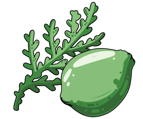 Cedar Lime scent: cedar and lime